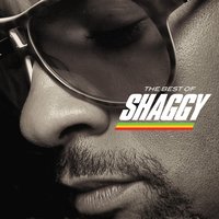 The Best Of Shaggy, 2008