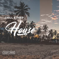 Chill & Deep House, 2020