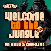 Welcome To The Jungle, Vol. 2: The Ultimate Jungle Cakes Drum & Bass Compilation, 2014