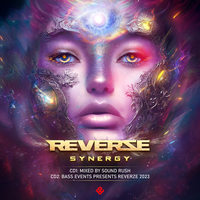 Reverze 2023 Synergy, 2022