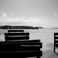 Soulscapes & Jazz Breaks, 2009