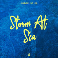 Storm At Sea, 2019