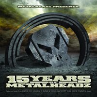 15 Years of Metalheadz, 2009