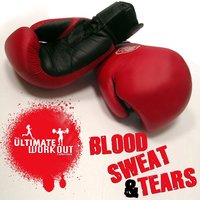 The Ultimate Workout Collection: Blood Sweat And Tears, 2009