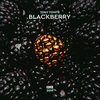 BLACKBERRY, 2019