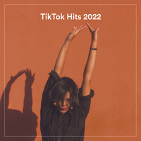 Tik Tock Hits 2022, 2022